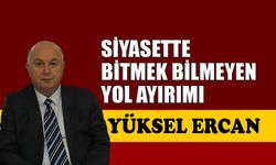 Siyasette bitmek bilmeyen yol ayırımı