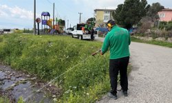 100 kişilik dev ekip, vektörle mücadele için sahada