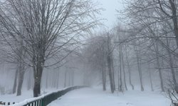 Kuzuyayla’da 4 mevsim tek noktada