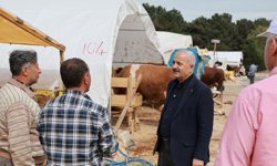 Başkan Büyükgöz kurban pazarı hazırlıklarını yerinde inceledi