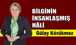 Bilginin insanlaşmış hâli