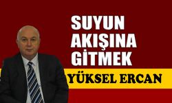 Suyun akışına gitmek