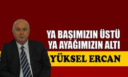 Ya başımızın üstü ya ayağımızın altı