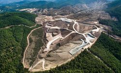 TEMA Vakfı: İklim krizine karşı kaybedecek zamanımız kalmadı