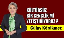 Kültürsüz bir gençlik mi yetiştiriyoruz?