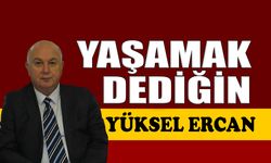 Yaşamak dediğin