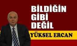 Bildiğin gibi değil