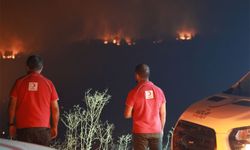 Türk Kızılay, orman yangınlarında 26 noktada sahada