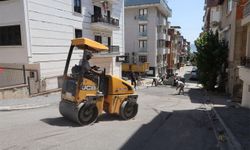 Darıca Belediyesi her sokakta sahada