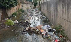 Dere yataklarına atılan atıklar taşkın riskini artırıyor