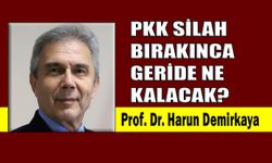 PKK silah bırakınca geride ne kalacak?