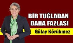 Bir tuğladan daha fazlası
