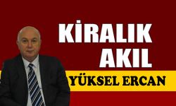 Kiralık akıl
