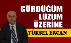 Gördüğüm lüzum üzerine