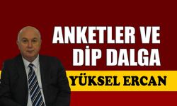 Anketler ve dip dalga