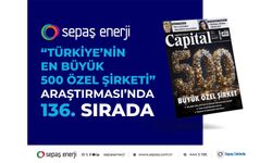 Sepaş Enerji, Capital500 araştırmasında 136'ncı sırada yer aldı