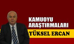 Kamuoyu araştırmaları