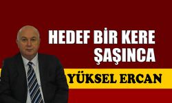 Hedef bir kere şaşınca