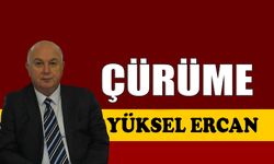 Çürüme