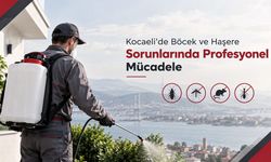 Kocaeli’de böcek ve haşere sorunlarında profesyonel mücadele