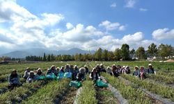 TABİP’te üretimden markalaşmaya uzanan hasat