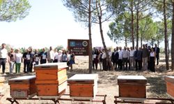 Tarım Akademisi’nde emekler sertifikayla taçlandı