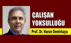 Çalışan yoksulluğu
