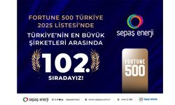 Sepaş Enerji, Fortune 500 Türkiye’deki güçlü konumunu sürdürüyor
