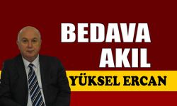 Bedava akıl