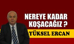Nereye kadar koşacağız?