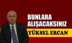 Bunlara alışacaksınız