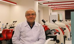 Beynin sırlarına ışık tutan yöntem: Optogenetik