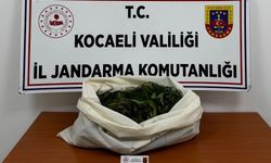 Kocaeli Jandarması’ndan 4 ilçede operasyon