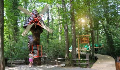 Kocaeli’nin ‘Ormanya’sına uluslararası ödül