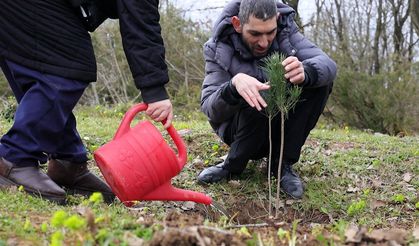 Fidanlar engelsiz hayat için dikildi