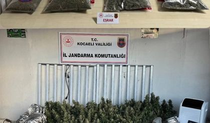 Jandarma’dan, Kocaeli genelinde 40 adrese operasyon