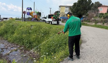 100 kişilik dev ekip, vektörle mücadele için sahada