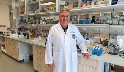 Damar tıkanıklığında antibiyotikle tedavi umudu