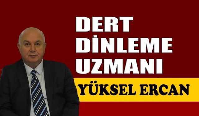 Dert dinleme uzmanı