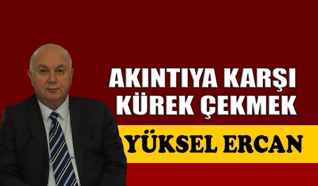 Akıntıya karşı kürek çekmek