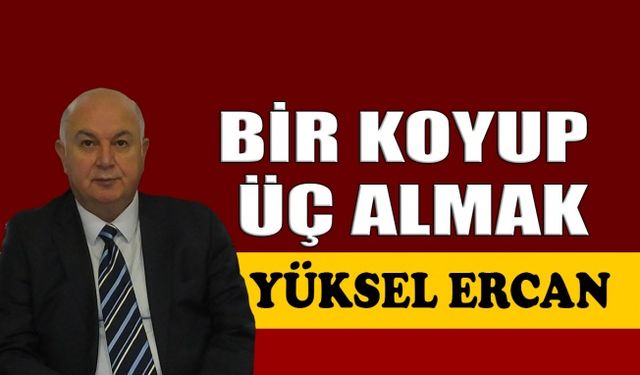 Bir koyup üç almak