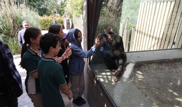 Darıcalı çocuklar Hayvanat Bahçesi’ni geziyor
