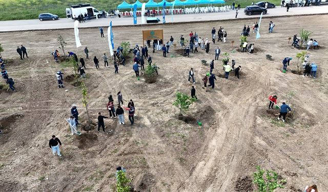 Kocaeli’nde binlerce fidan toprakla buluştu