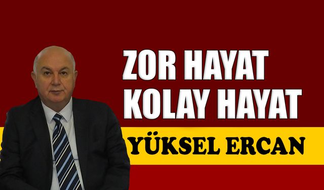 Zor hayat kolay hayat