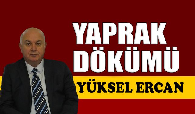 Yaprak dökümü