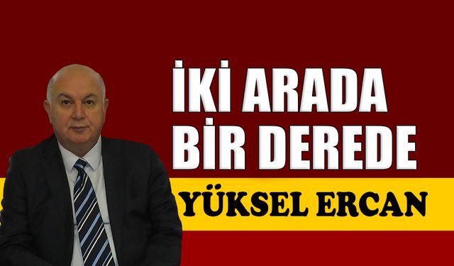 İki arada bir derede