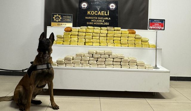 Kocaeli Emniyeti 110 paket uyuşturucu ele geçirdi