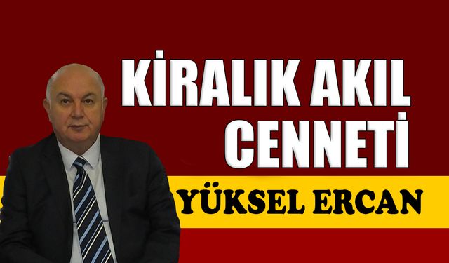 Kiralık akıl cenneti
