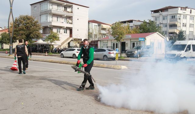 Sinekle mücadele sonbaharda da hız kesmiyor