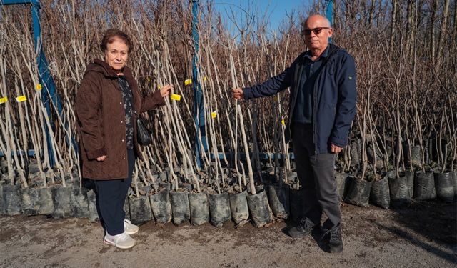 Büyükşehir’in fidan desteği meyvelerini verecek